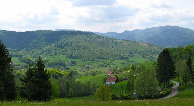 vosges