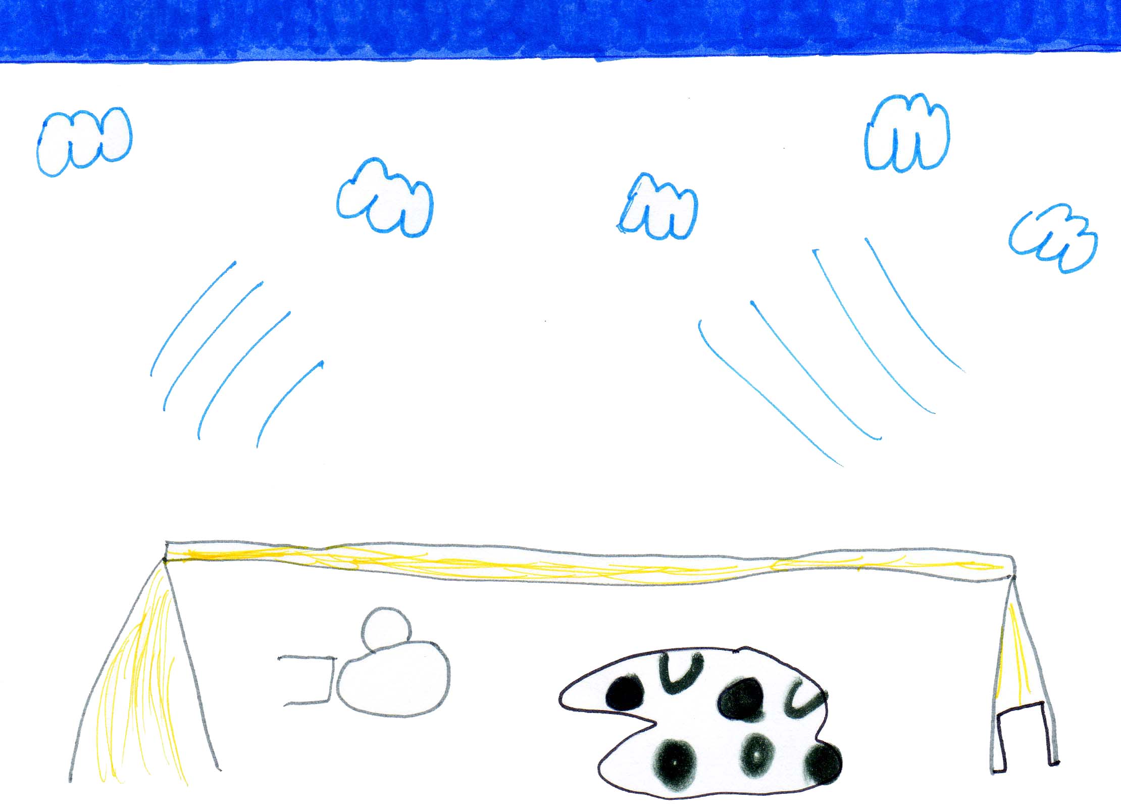 a1
